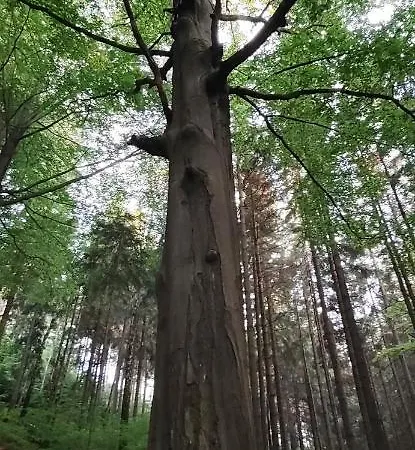 Novy V Klidu Jizerek