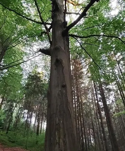 Novy V Klidu Jizerek